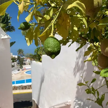 Apartment Dream House Costa Adeje (Tenerife)